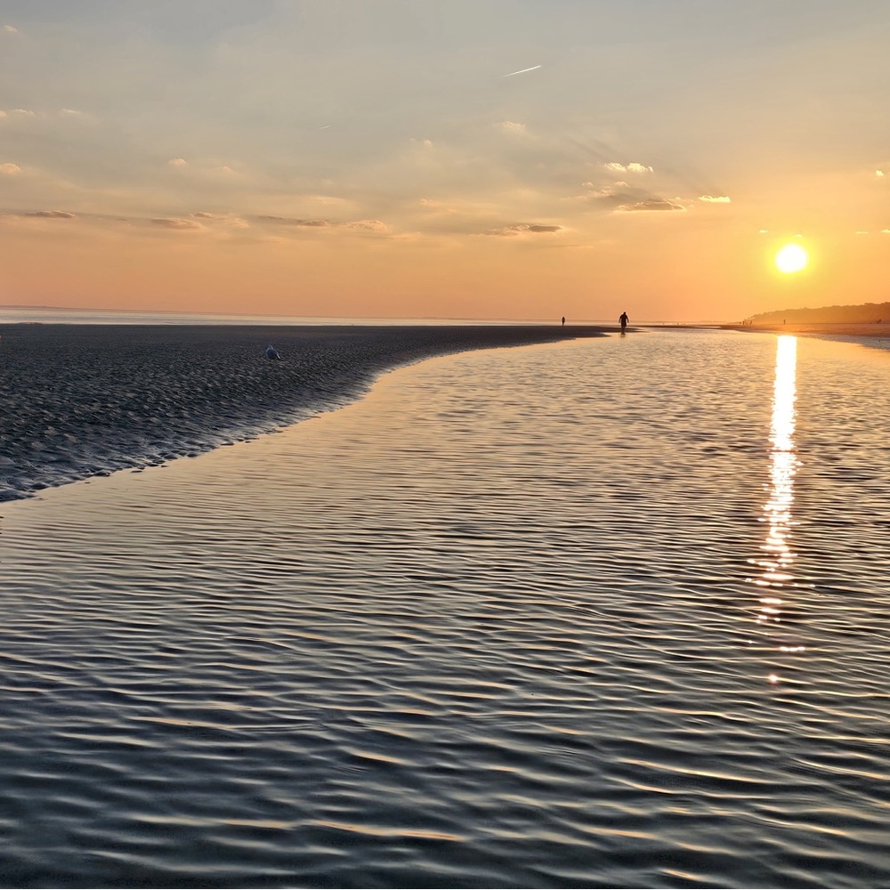 Meet your Posher, Kay